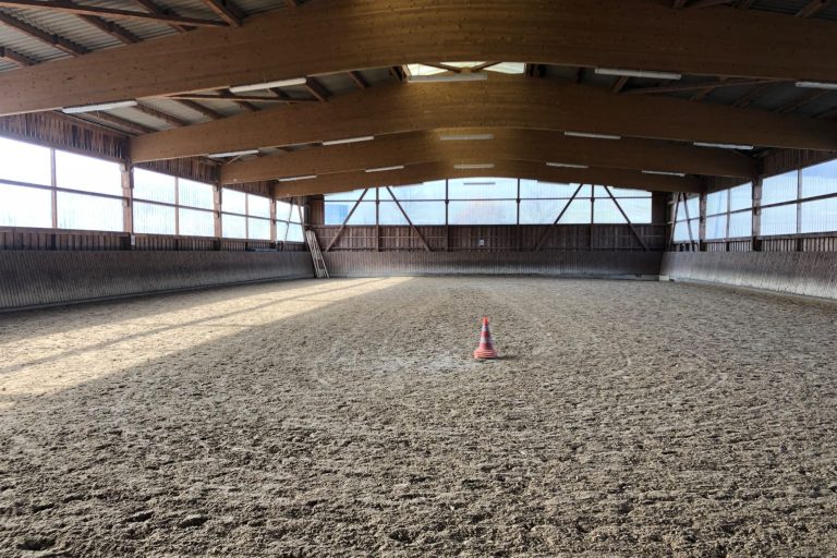 Reitunterricht für Kinder und Erwachsene Reitunterricht für Kinder und Erwachsene