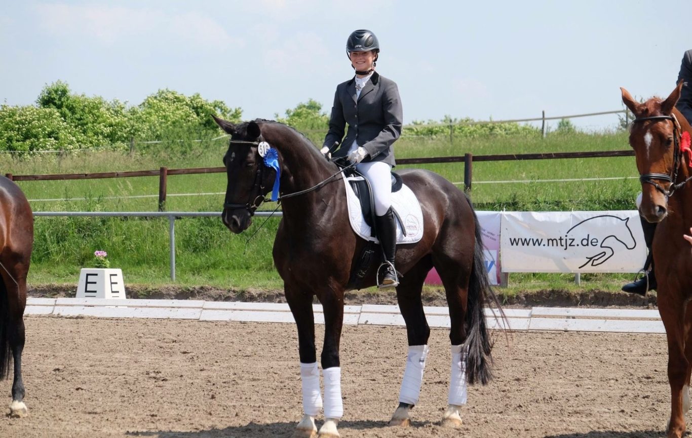 Individuelle-Pferdeausbildung-und-vertrauensvolle-Förderung Individuelle Pferdeausbildung und vertrauensvolle Förderung